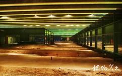 咸陽漢陽陵旅遊攻略之帝陵外藏坑遺址保護展示廳