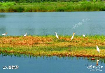 合阳洽川风景名胜区-西鲤瀵照片