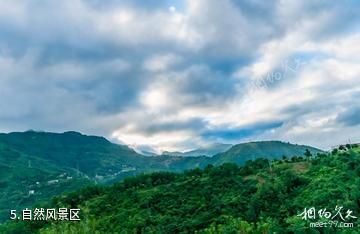 商洛金台山文化旅游景区-自然风景区照片