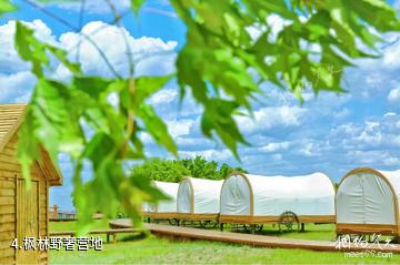 兴安盟五角枫生态旅游景区-枫林野奢营地照片