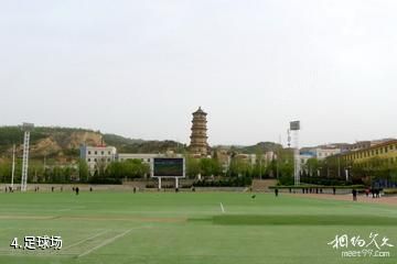 咸阳古豳文化博览园-足球场照片