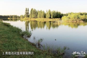 青島沽河金岸照片
