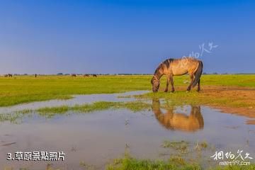 成吉思汗察罕蘇力德生態游牧旅遊區-草原照片