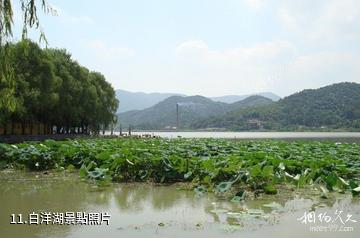 寧波慈溪鳴鶴古鎮-白洋湖照片