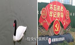 揚州茱萸灣公園驢友相冊