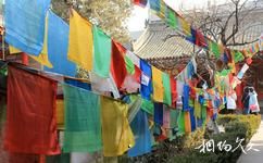 西安广仁寺旅游攻略之藏传佛教