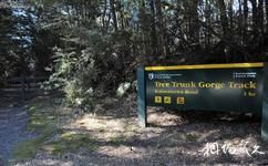紐西蘭湯加里羅國家公園旅遊攻略之徒步線路