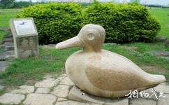 台北華江雁鴨自然公園旅遊攻略之雁鴨