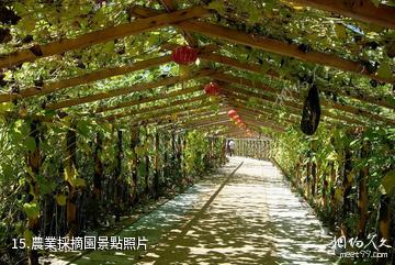 月牙湖中國北方民族園-農業採摘園照片