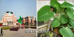 西北农林科技大学驴友相册