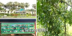 中科院西雙版納熱帶植物園驢友相冊