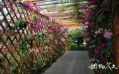 北京世界花卉大观园旅游攻略之精品花卉温室