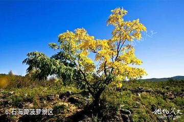 达尔滨湖国家森林公园-石海黄菠萝景区照片