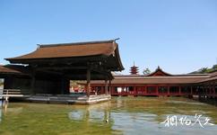 日本嚴島神社旅遊攻略之能台