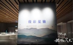 江西省博物館旅遊攻略之俊彩星馳