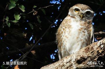 印度凱奧拉德奧國家公園-眺望照片