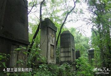 武漢龍泉山風景區-楚王墓照片