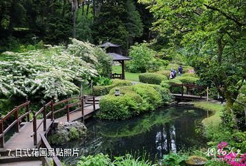 愛爾蘭寶爾勢格莊園-日式花園照片