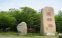 南京高淳游子山旅游攻略之赏竹石