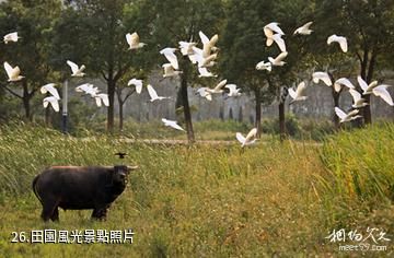 舟山馬嶴旅遊區-田園風光照片