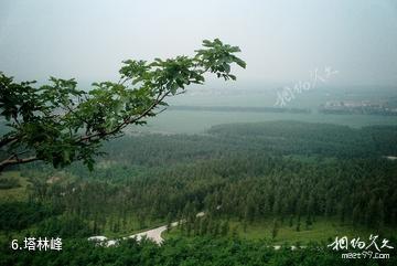 伊通大孤山旅游风景区-塔林峰照片