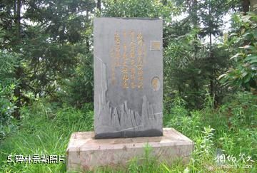 靖州文峰塔-碑林照片