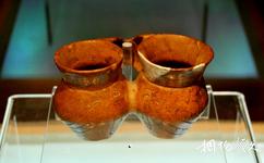 甘肅省博物館旅遊攻略之蠶紋雙聯陶罐