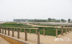 天津港东疆建设开发纪念公园旅游攻略之广场