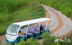 張掖國家濕地公園旅遊攻略之觀光車