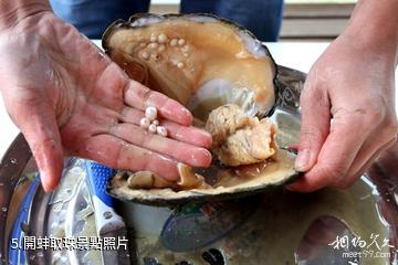 蘇州中國珍珠寶石城-開蚌取珠照片