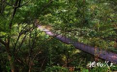 广水中华山森林公园旅游攻略之吊桥