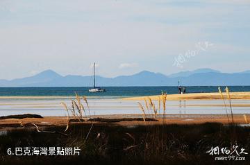 紐西蘭阿貝爾·塔斯曼國家公園-巴克海灣照片