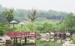昌乐桂河湿地公园旅游攻略之桂河湿地公园