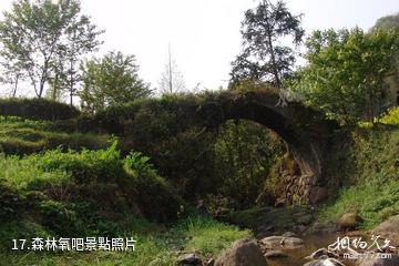 雅安滎經雲峰山景區-森林氧吧照片