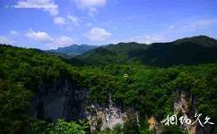 广西雅长兰科植物国家级自然保护区旅游攻略