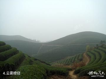 金华武义台山寺-云雾缭绕照片