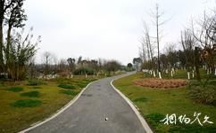 成都白鷺灣生態(tài)濕地公園旅游攻略之綠道