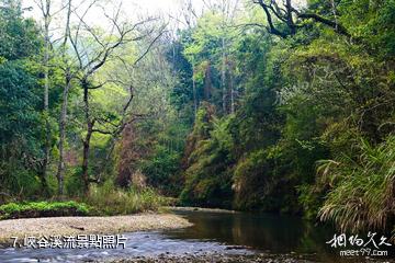 廣東車八嶺國家級自然保護區-峽谷溪流照片