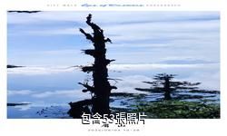 洪雅瓦屋山森林公園驢友相冊