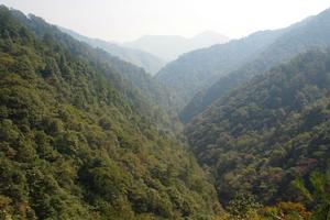 浙江溫州泰順旅遊攻略-烏岩嶺自然保護區景點排行榜