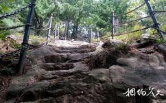 哈尔滨铧子山森林公园旅游攻略之石头台阶