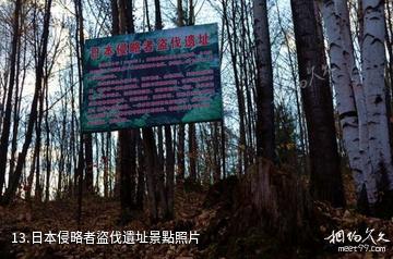 七台河西大圈森林公園-日本侵略者盜伐遺址照片
