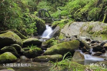 安康雙龍生態旅遊度假區-祥龍谷照片