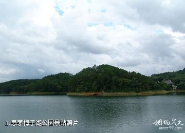 思茅梅子湖公園照片