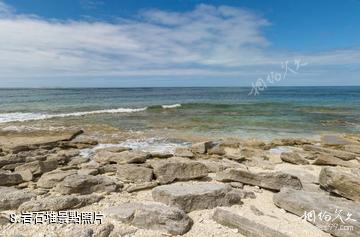 威爾遜島海底風光-岩石堆照片