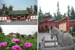 河南安陽洛陽洛龍旅遊攻略-洛龍區景點排行榜
