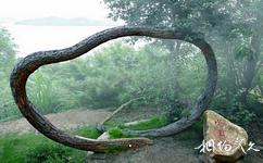 新丰江国家森林公园旅游攻略之水月松