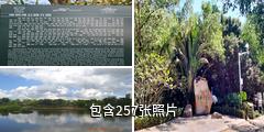 深圳红树林自然保护区驴友相册