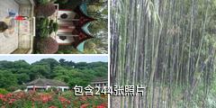 岳阳君山公园驴友相册