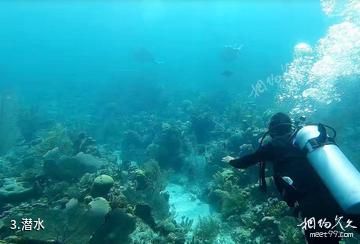 伯利兹大蓝洞-潜水照片
